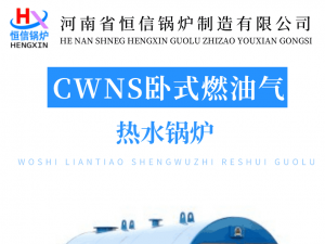 CWNS卧式燃气热水锅炉